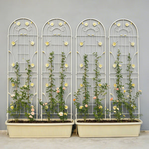 Metal Garden Trellis Rustproof Trellis For Climbing Plant Outdoor Flower Support