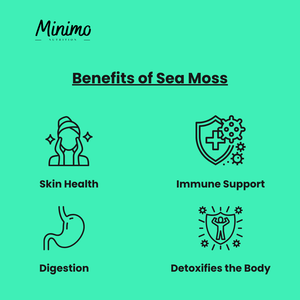 Sea Moss with Bladderwrack and Burdock Root, 60 ct.