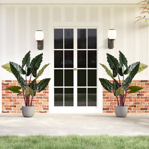 Artificial Rainbow Taro Tree 63" Tall with 11 Faux Leaves-1 Pack