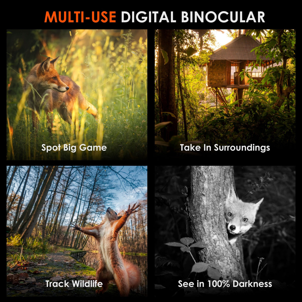 Rexing B1 Pro – 4K IR Night Vision Digital Binocular