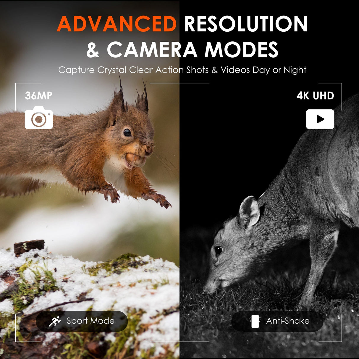 Rexing B1 Pro – 4K IR Night Vision Digital Binocular