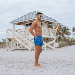 Blue Marlin by Bermies