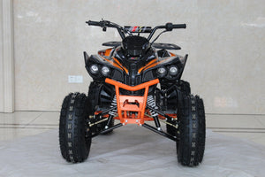 TrailMaster C125 125cc Sport ATV, Automatic with Reverse, 8-inch Wheels, Ages 9-12