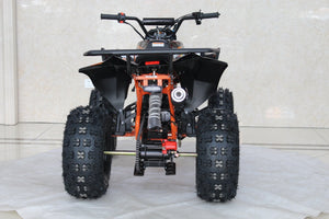 TrailMaster C125 125cc Sport ATV, Automatic with Reverse, 8-inch Wheels, Ages 9-12