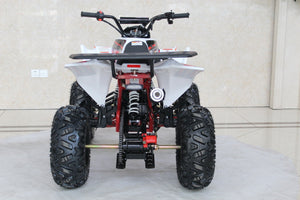 TrailMaster C125 125cc Sport ATV, Automatic with Reverse, 8-inch Wheels, Ages 9-12