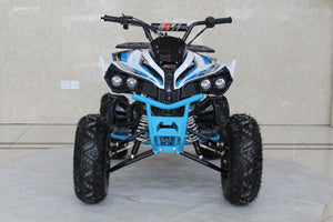 TrailMaster C125 125cc Sport ATV, Automatic with Reverse, 8-inch Wheels, Ages 9-12