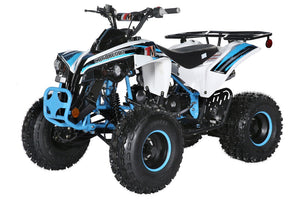 TrailMaster C125 125cc Sport ATV, Automatic with Reverse, 8-inch Wheels, Ages 9-12