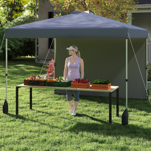 10 X 10 FT Pop up Canopy Tent with 1 Sidewall and Wheeled Bag-Gray