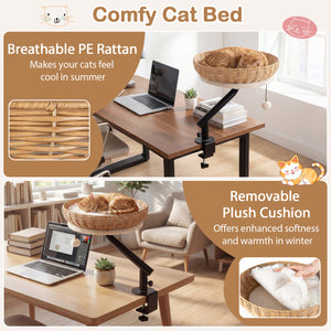 Cat Desk Bed with Removable Padded Cushion for Indoor Cats-Natural