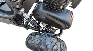 TrailMaster Cheetah 3 Kids Mini Go Kart, 80cc gas engine, seat belt, Kids Ages 4-9