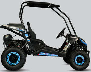TrailMaster Cheetah-6 Go Kart, 5.5hp Electric Start, Remote Start/Kill with Reverse, Kids Ages 4-9