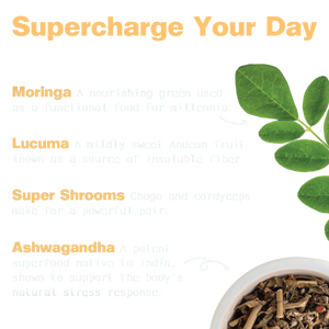 Organic Superfood Energy Shake - Chocolate Peanut Butter