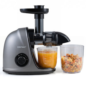 Cold Press Juicer Machine with 95% High Yield and 2-Speed Modes-Sliver