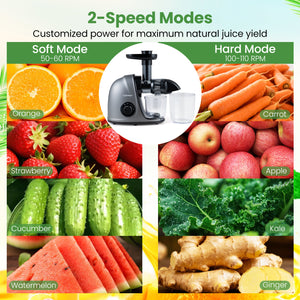 Cold Press Juicer Machine with 95% High Yield and 2-Speed Modes-Sliver