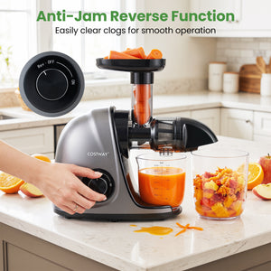 Cold Press Juicer Machine with 95% High Yield and 2-Speed Modes-Sliver