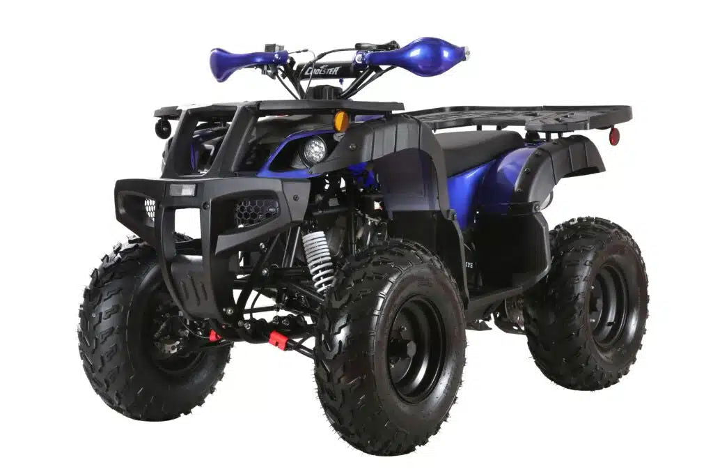 Coolster (3200U) 200cc Utility ATV, Electric Start, Automatic with Reverse, 10-inch Steel Wheels
