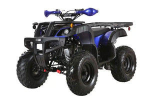 Coolster (3200U) 200cc Utility ATV, Electric Start, Automatic with Reverse, 10-inch Steel Wheels