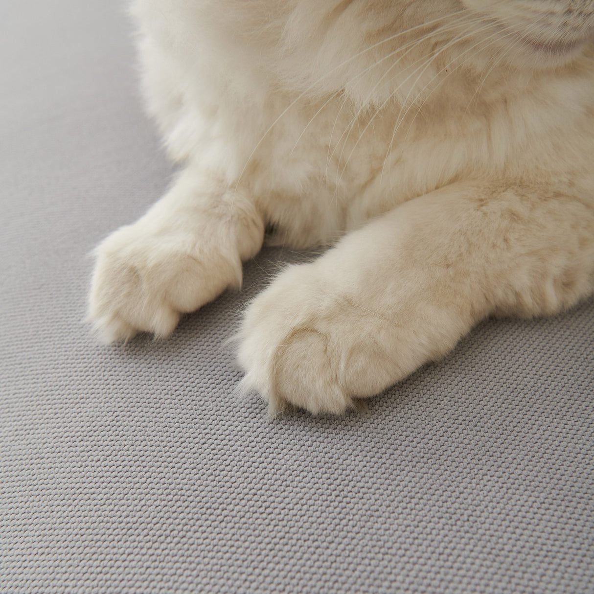 Waterproof Scratch Proof Sofa Protector Throw Blanket, Couch Cover for Pets & Kids