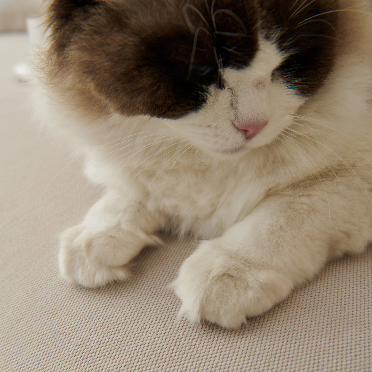 Waterproof Scratch Proof Sofa Protector Throw Blanket, Couch Cover for Pets & Kids