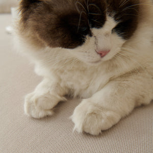 Waterproof Scratch Proof Sofa Protector Throw Blanket, Couch Cover for Pets & Kids