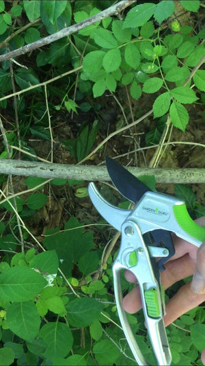 2 in 1 Ratchet Clippers by Garden Guru