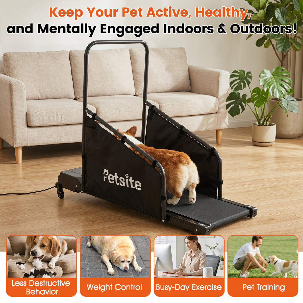 Dog Treadmill with Remote Control and LCD Display for Small Medium Dogs-Black