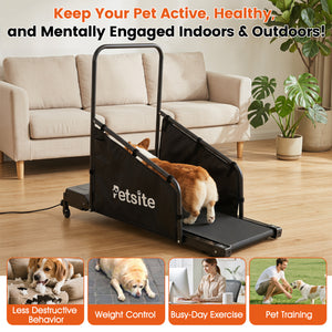Dog Treadmill with Remote Control and LCD Display for Small Medium Dogs-Black