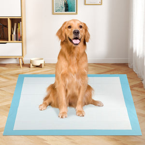 Dog and Puppy Pee Pads 36" x 36" (100 Counts) for Potty Training-Blue