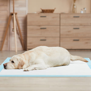 Dog and Puppy Pee Pads 36" x 36" (100 Counts) for Potty Training-Blue