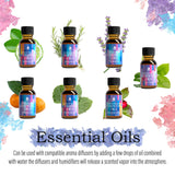 Himalayan Salt Diffuser & 14 Pack Essential Oils Set by Pursonic
