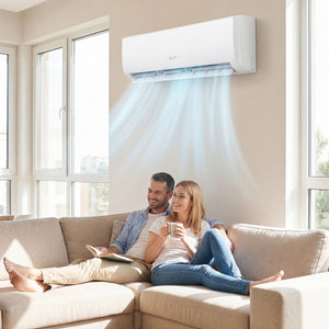 EcoGuard Series 12000 BTU 20 SEER2 115V Mini Split Air Conditioner and Heater