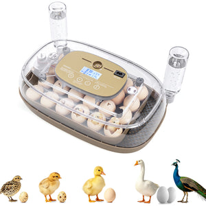 Egg Incubator with Temp and Humidity Control