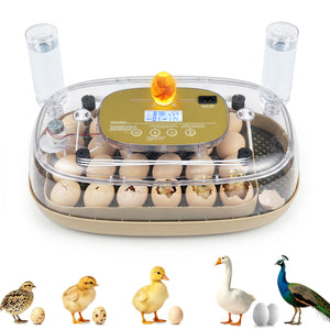 Egg Incubator with Temp and Humidity Control