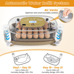 Egg Incubator with Temp and Humidity Control