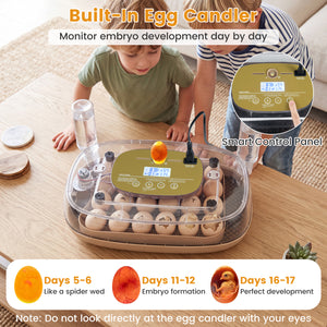 Egg Incubator with Temp and Humidity Control