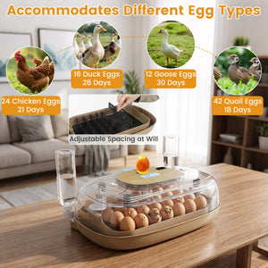 Egg Incubator with Temp and Humidity Control