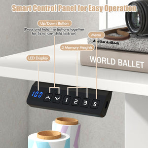 55 Inch x 24 Inch Height Adjustable Electric Standing Desk with 2 Drawers-White