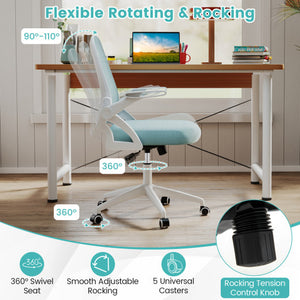 Ergonomic Computer Desk Chair with Lumbar Support and Flip-up Arms-Gray