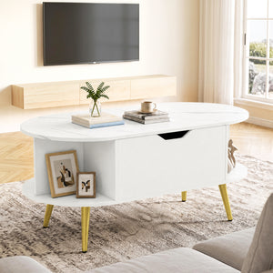 Faux Marble Lift Top Coffee Table with Hidden Compartment and Shelves-White