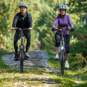 Folding Electric Bicycle for Adults with 20-Inch Fat Tires Snow E-Bike