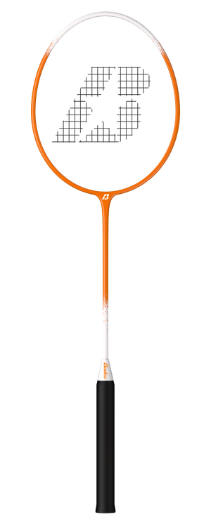 Champions Volleyball & Badminton Racket