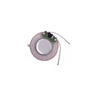 Gameboy Advance Replacement Speaker