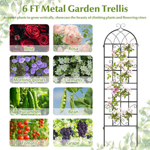 4 Pack 71" x 20" Metal Garden Trellis for Outdoor Climbing Plants