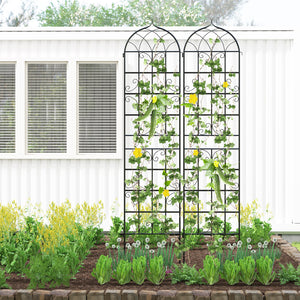 2 Pack 86" x 20" Metal Garden Trellis for Outdoor Climbing Plants