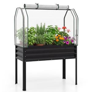 Galvanized Raised Garden Bed with Legs and Greenhouse Cover for Vegetable Flower-Black