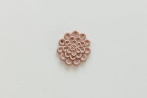 Succulent Teethers