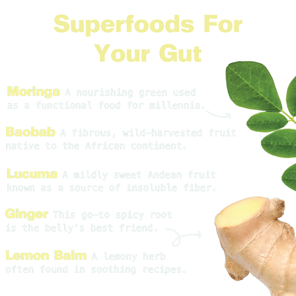 Gut Bliss Superfood Blend