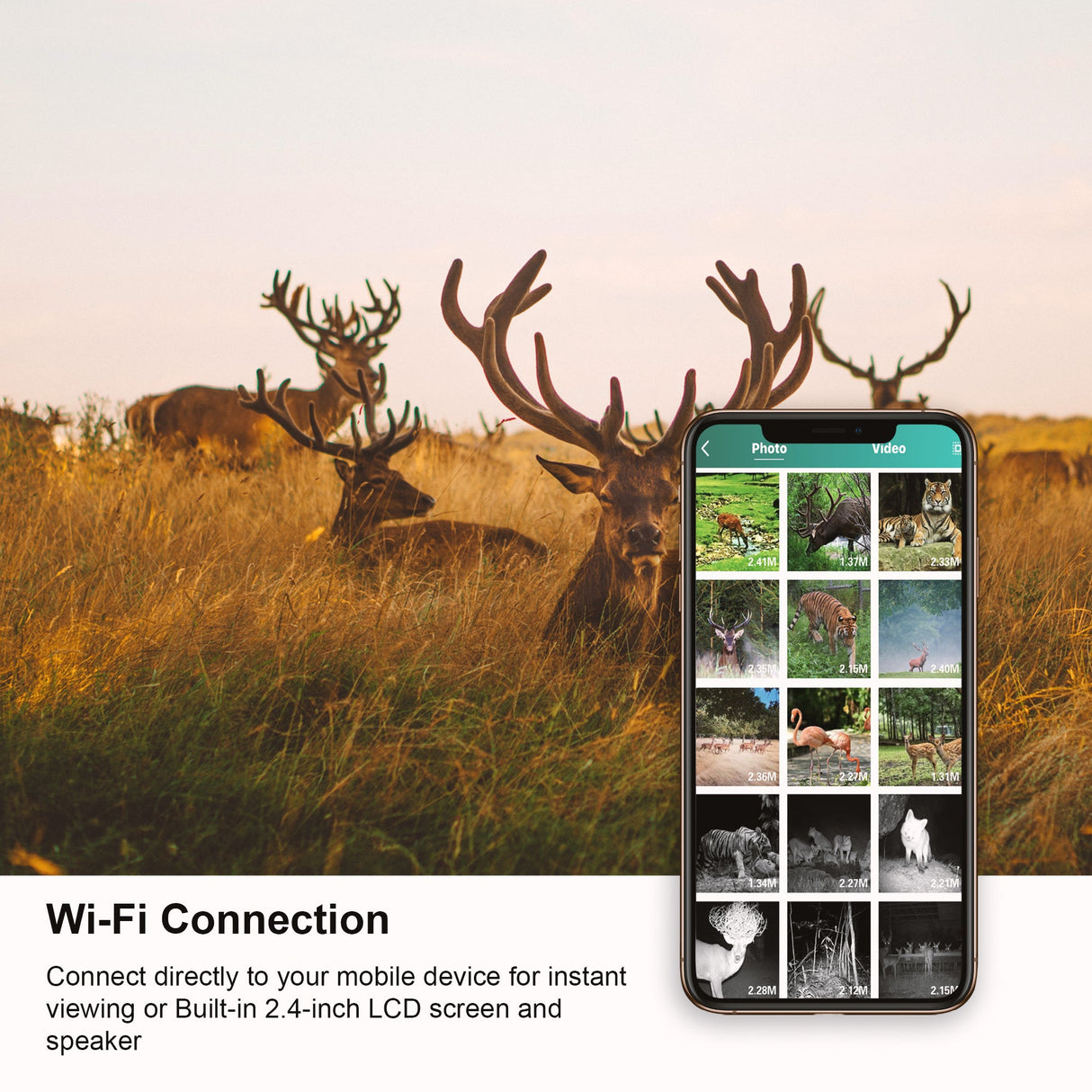 Rexing Woodlens H2 4K Wi-Fi Trail Camera (1 Pack)