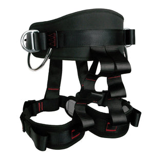 Secure Your Climb  Rock Climbing Harness