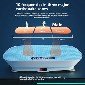 Smart Vibration Plate